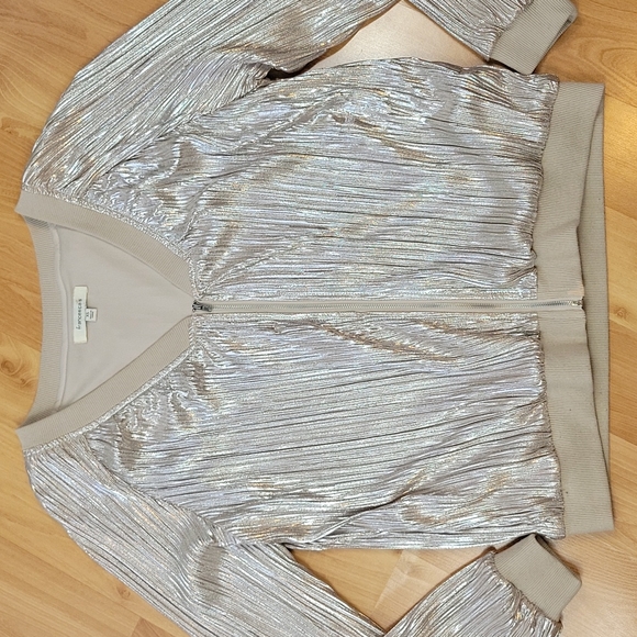 Francesca's Champagne Shimmer Jacket - Picture 2 of 7